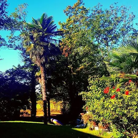 Graziella Pensjonat Lazise